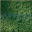 Obrázok pre 46/76669 Foliage*Listová zelená*15x25cm