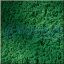 Obrázok pre 46/76670 Foliage*Tmavo zelená * 15x25cm