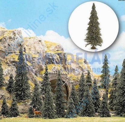 Obrázok pre 56/6577 40ks* Jedličky* 3-6cm *Koren