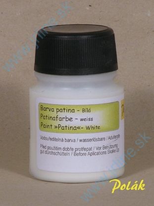 Obrázok pre 51/5731 FARBA Patin* Biela * 50ml