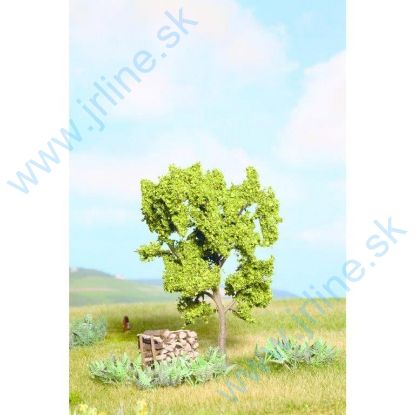 Obrázok pre 54/21600 Hruška Kvitnúca * 11,5cm