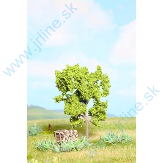 Obrázok pre 54/21600 Hruška Kvitnúca * 11,5cm