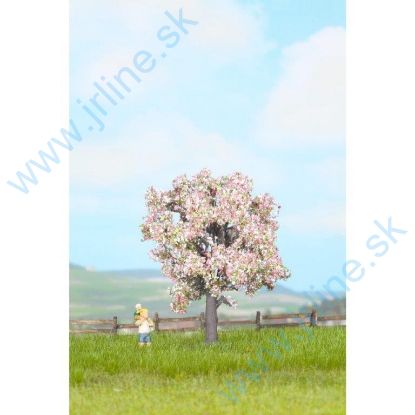 Obrázok pre 54/21570 Ovocný strom-Kvitnúci  7,5cm