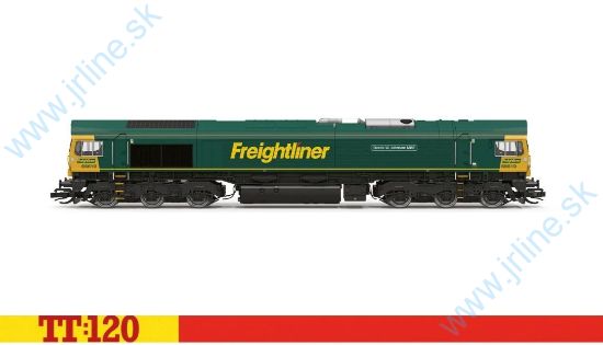 Obrázok pre 658/TT3031M Class 66*66619 Derek W.Johnso