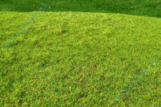 Obrázok pre 44/F001 Sečená louka jarní