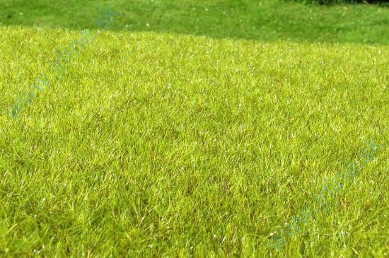 Obrázok pre 44/F010 Mokřad světlý