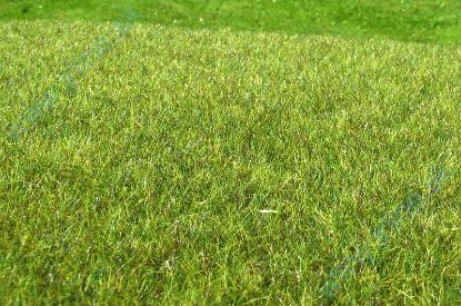 Obrázok pre 44/F011 Mokřad střední