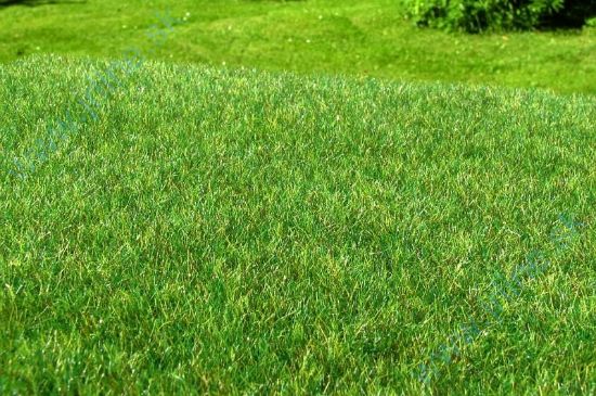 Obrázok pre 44/F012 Mokřad tmavý