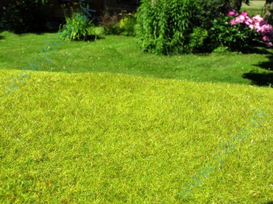 Obrázok pre 44/F021 Nesečená louka jarní