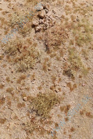 Obrázok pre 44/F320 Blízký východ kamenitá poušť