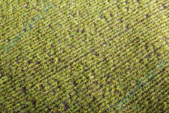 Obrázok pre 44/F401 Jarní pole * 18x28cm