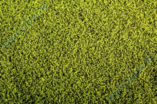 Obrázok pre 44/F440 Vojtěška * 18x28cm