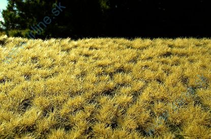 Obrázok pre 44/F519 Drny suché