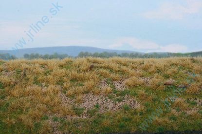 Obrázok pre 44/F610 Lesní základ - borovicový les