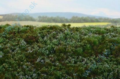 Obrázok pre 44/F620 Lesní základ - borůvkoviště