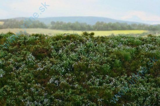 Obrázok pre 44/F620 Lesní základ - borůvkoviště