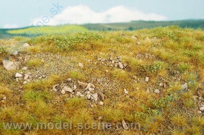 Obrázok pre 44/F723 Pozdní léto - vápencové kameny