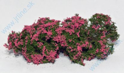 Obrázok pre 44/701-93S Minipack -Kvetoucí keře-RUŽOVÉ