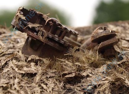 Obrázok pre 44/L3-302 Dub - shnilé listí