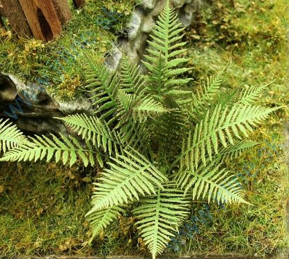 Obrázok pre 44/VG3-001 Kapradí 1:35