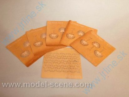 Obrázok pre 44/VG3-013 Palmové listy suché - typ II.