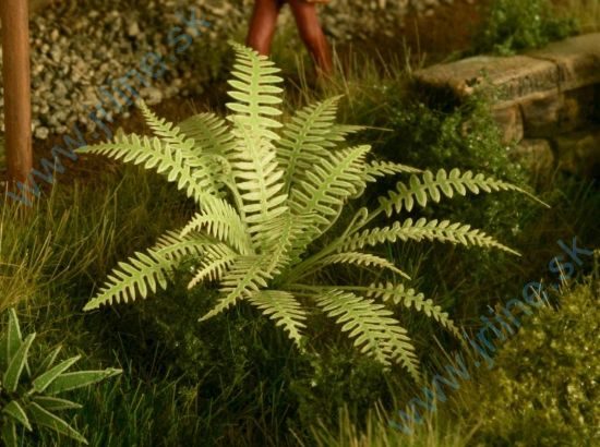 Obrázok pre 44/VG7-001 Kapradí 1:72 / 1:87