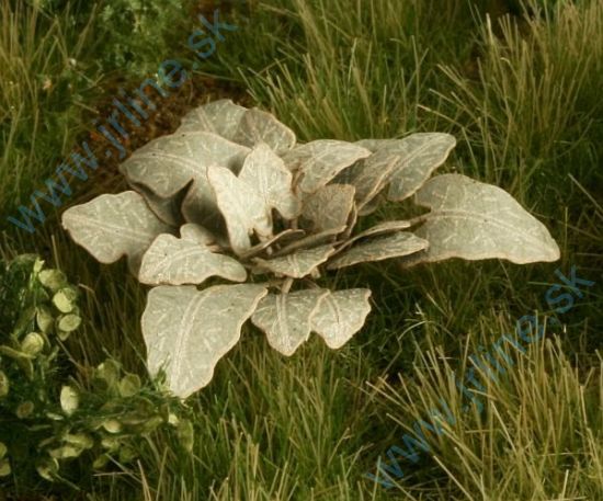 Obrázok pre 44/VG7-002 Lopuchy 1:72 / 1:87