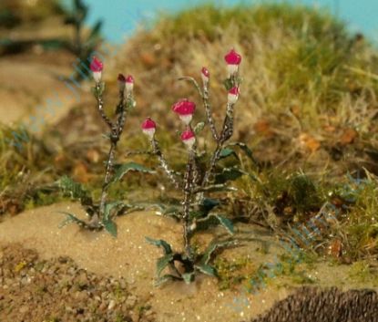 Obrázok pre 44/VG7-221 Bodlák 1:72 / 1:87