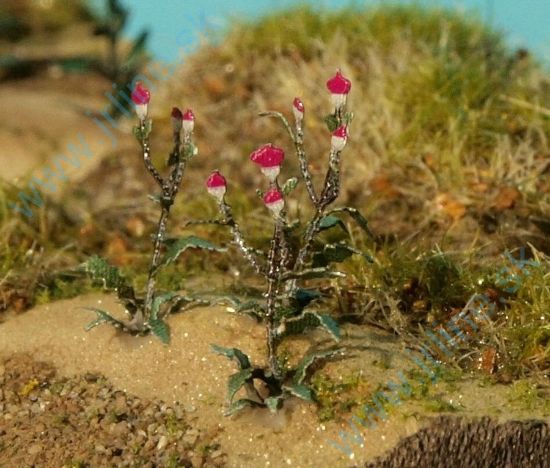 Obrázok pre 44/VG7-221 Bodlák 1:72 / 1:87