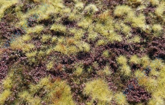 Obrázok pre 44/F640 Vřesoviště suché