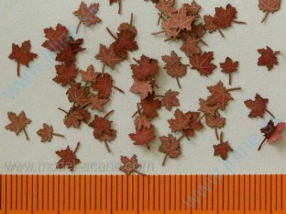 Obrázok pre 44/L8-201 Javor - suché listí