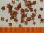 Obrázok pre 44/L8-201 Javor - suché listí