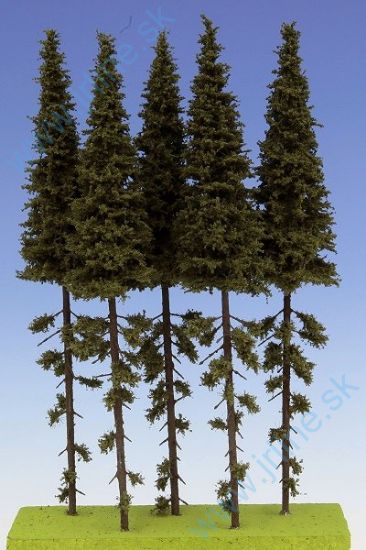 Obrázok pre 44/SK250 Smrek Vysoký kmeň 230-270 mm