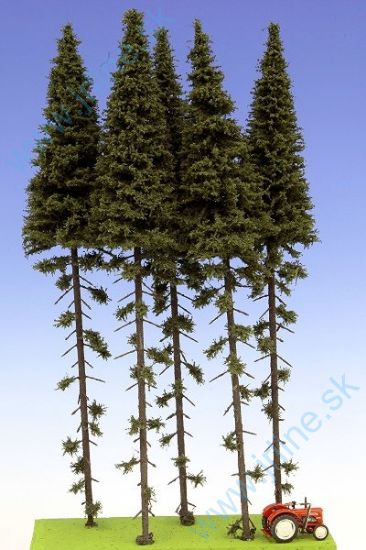 Obrázok pre 44/SK300 Smrek Vysoký kmeň 280-320 mm