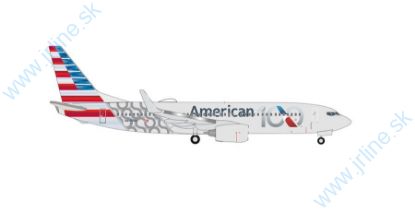 Obrázok pre 91/539579 B737-800 *American Air 100year